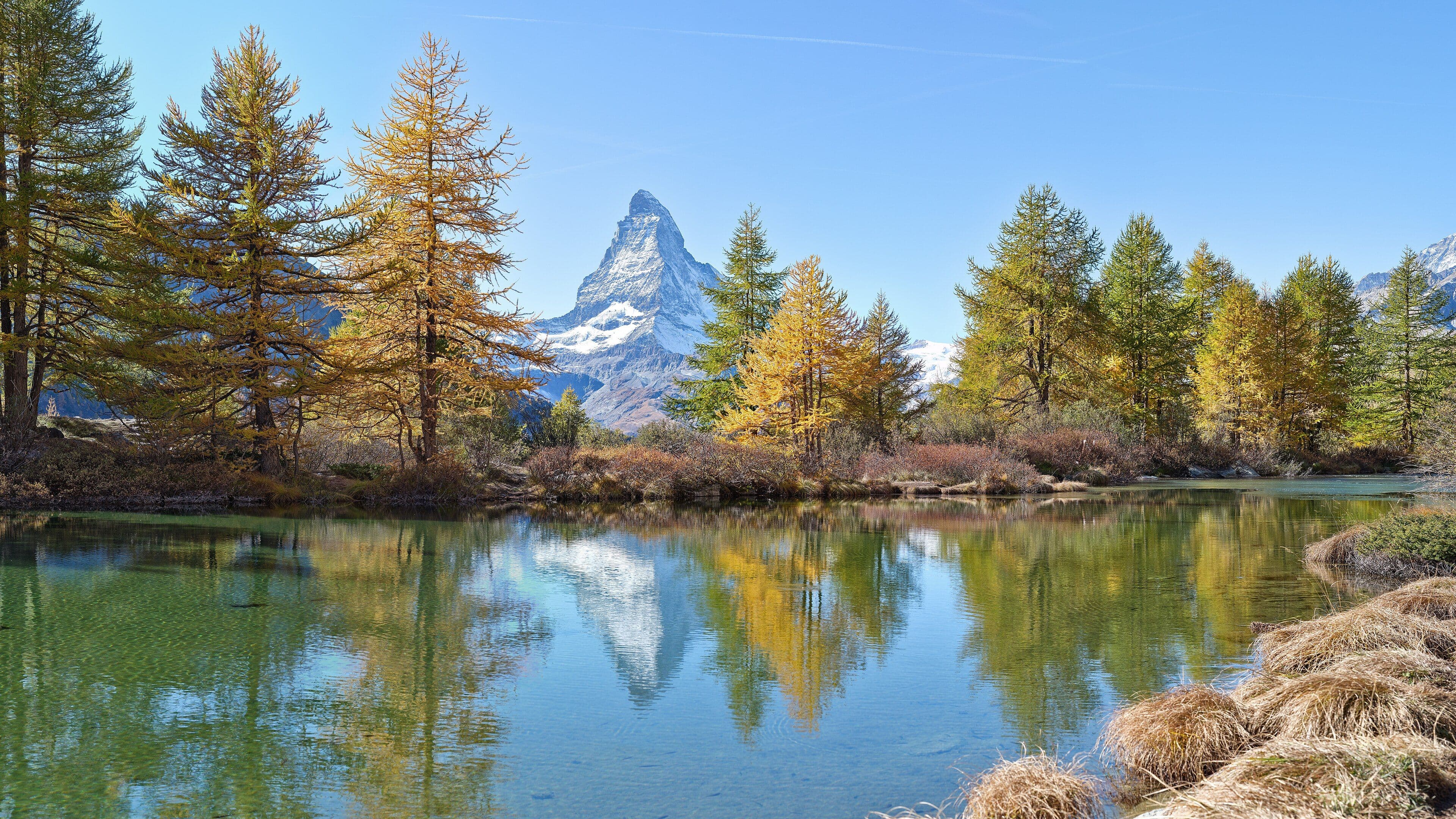 Workation in Switzerland