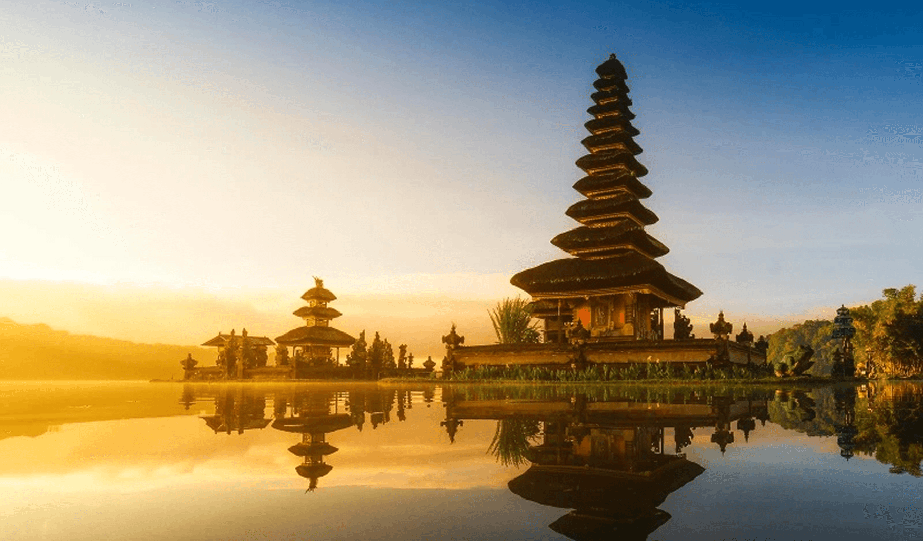 Work like other digital nomads from Bali, how?